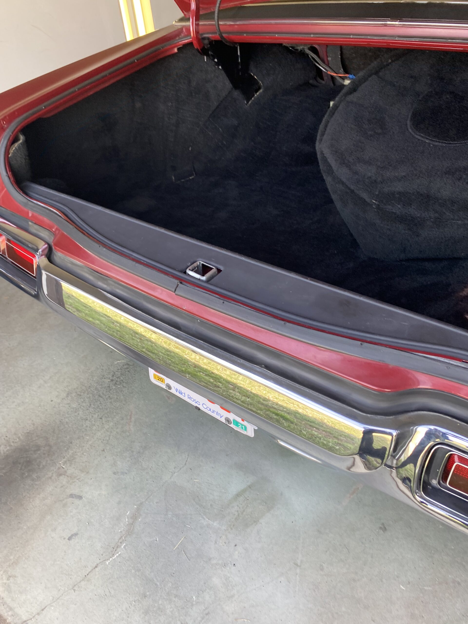 Photo 2024-04-15, 2 51 36 PM